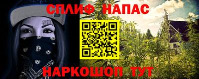 дмт Новокубанск