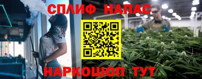 трава Новозыбков