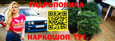трава Новозыбков