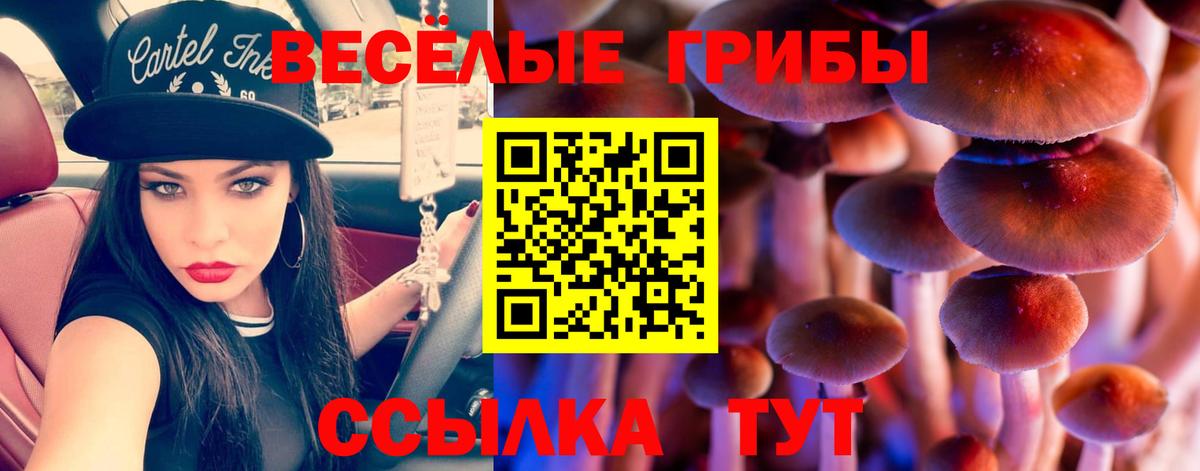 Галлюциногенные грибы Magic Shrooms Тимашёвск