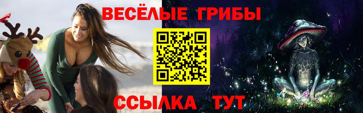 Тимашёвск  купить наркотики сайты  Галлюциногенные грибы прущие грибы  Вход с VPN  Псилоцибиновые грибы MAGIC MUSHROOMS 